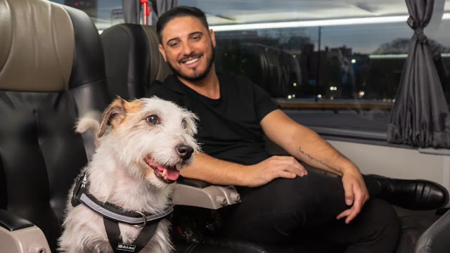 Ahora mascotas podrán viajar en colectivo