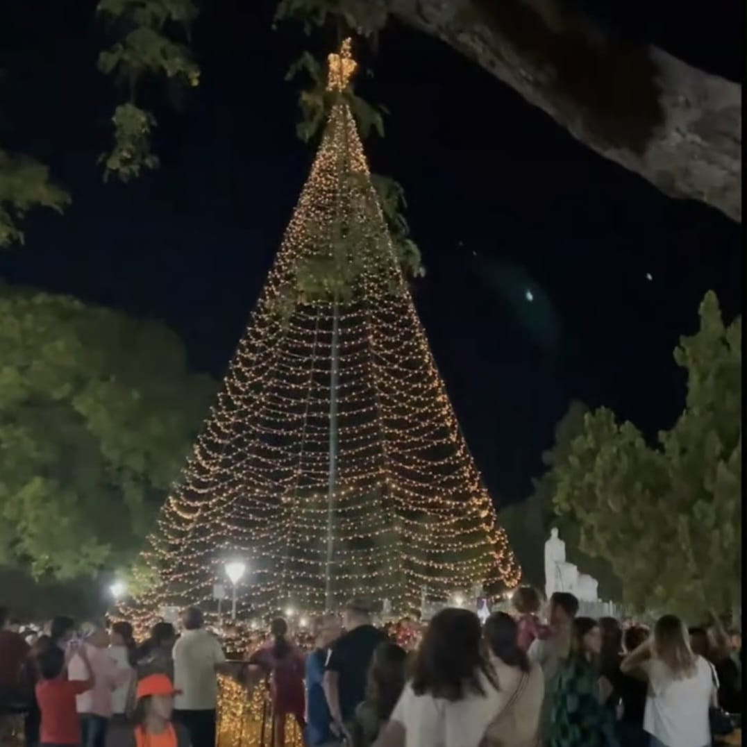 Este sábado se encenderá el Arbolito de Navidad en la Plaza 