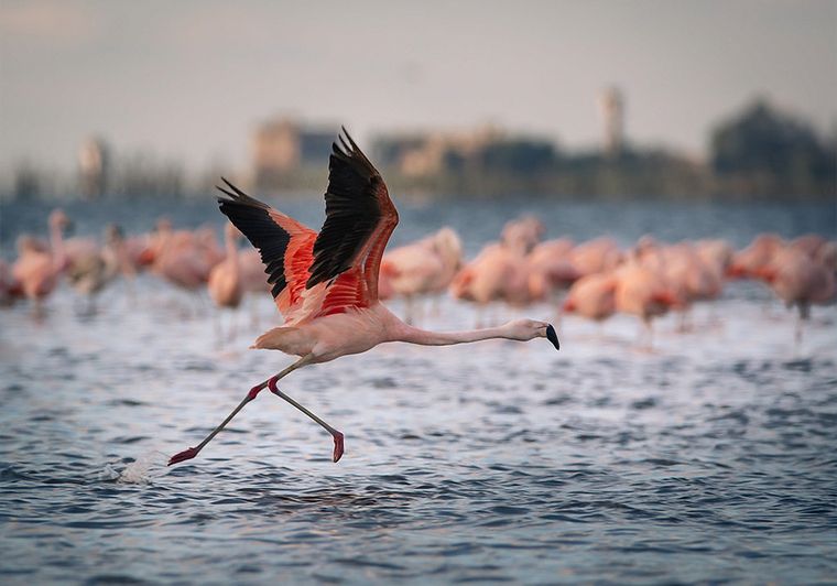 Ecoturismo en Córdoba: qué es y 5 sitios para disfrutarlo