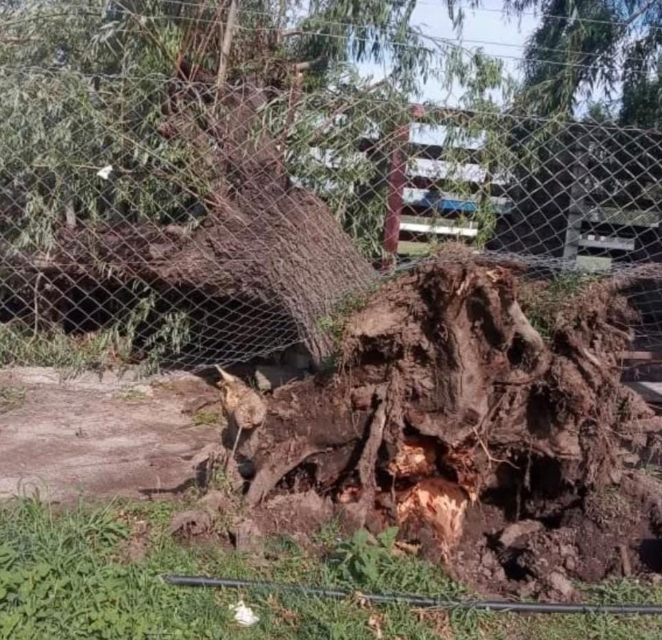 La tormenta provocó graves destrozos en la cancha de Alem