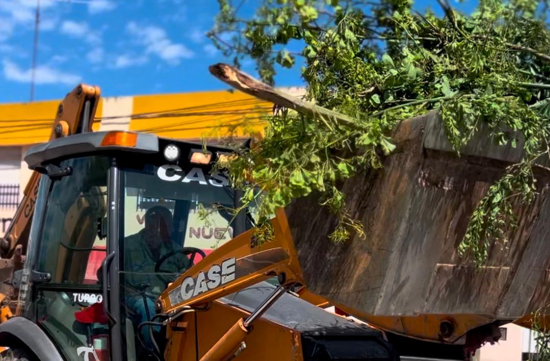 El municipio y los bomberos trabajan tras la tormenta