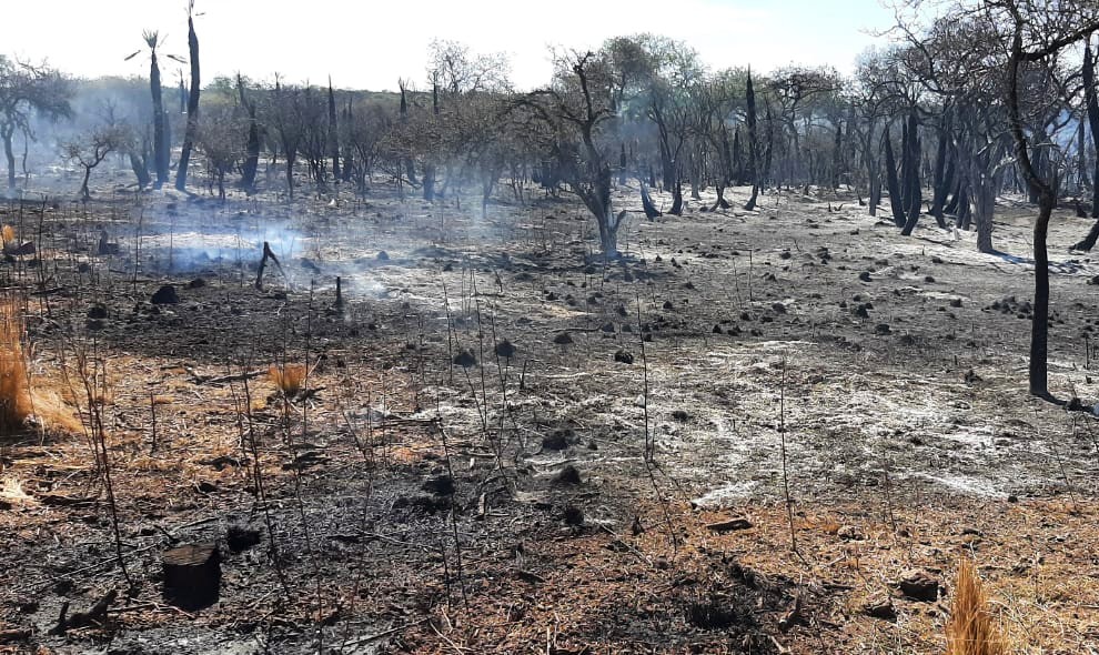 La Provincia emitió el alerta por riesgo de incendio extremo