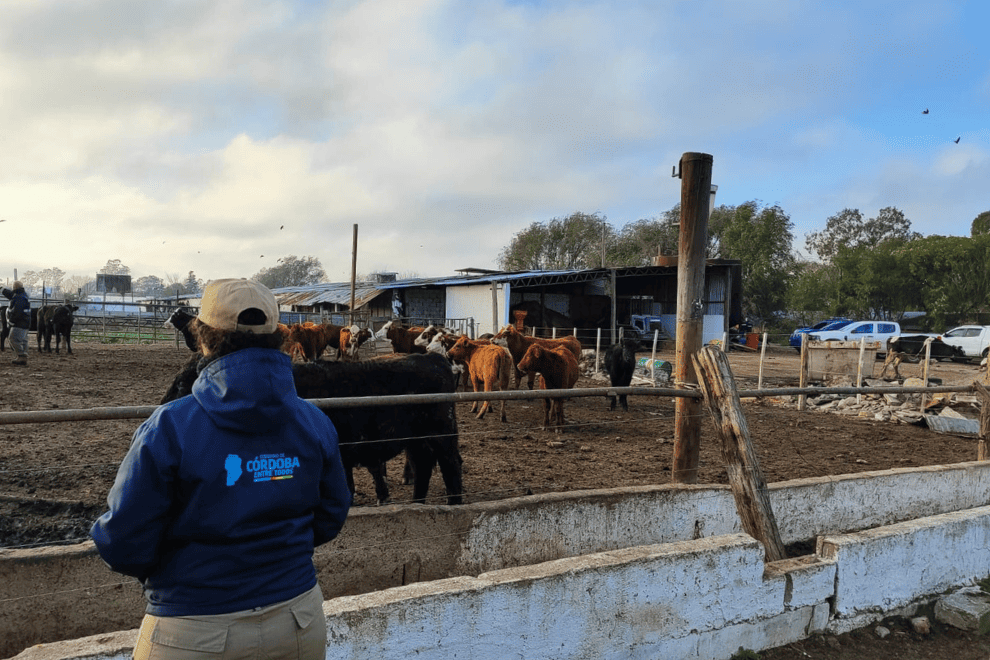 Nuevo operativo por faneamiento clandestino: se llevaron 1.400 kilos