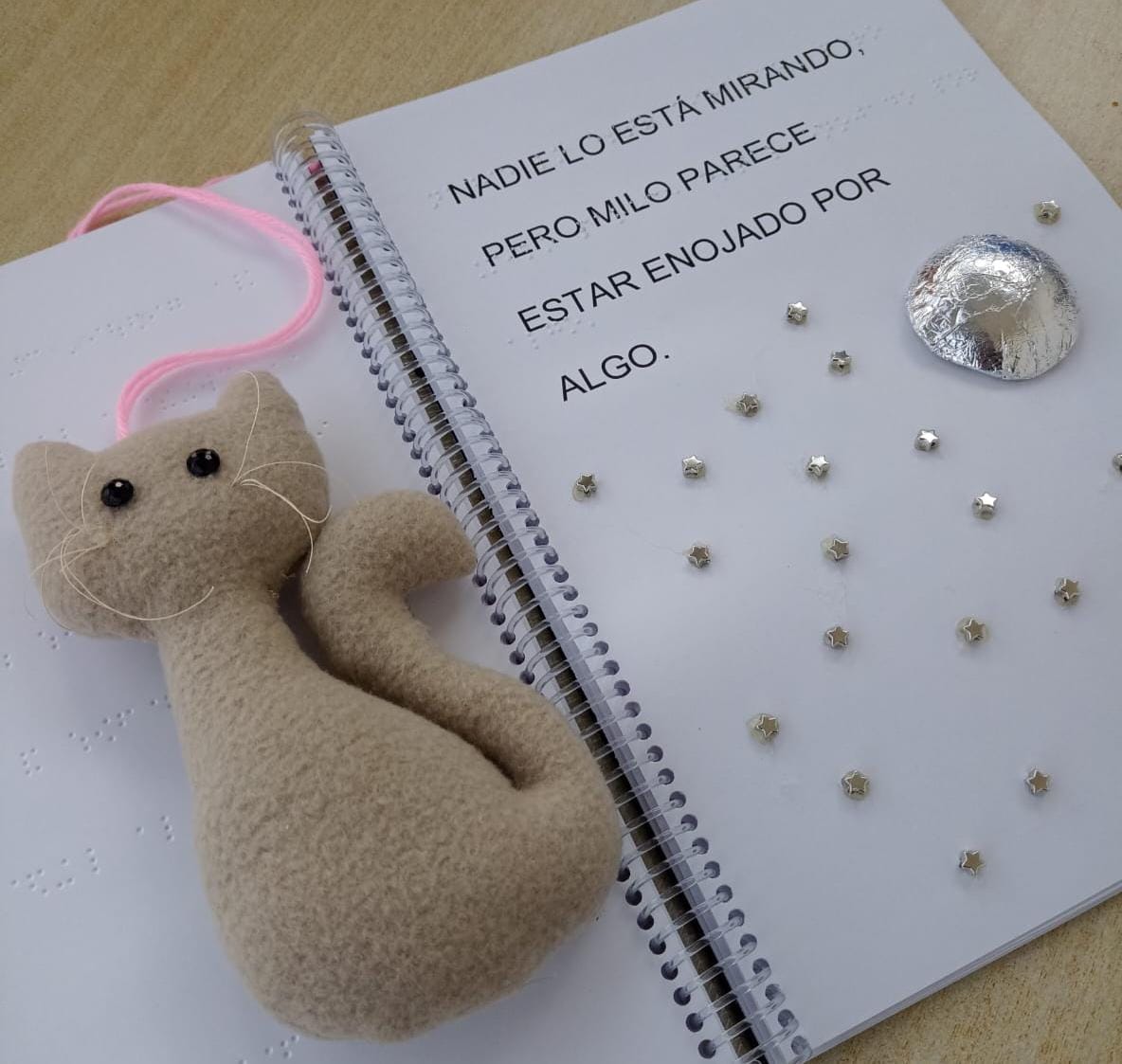 Villa María: generaron libros táctiles para niños con discapacidad visual 