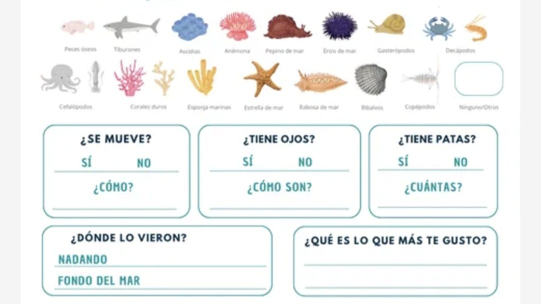Lanzaron el álbum de figuritas con las imágenes del fondo del mar del CONICET