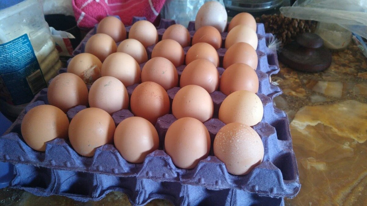 En seis meses, por argentino se consumieron 380 huevos