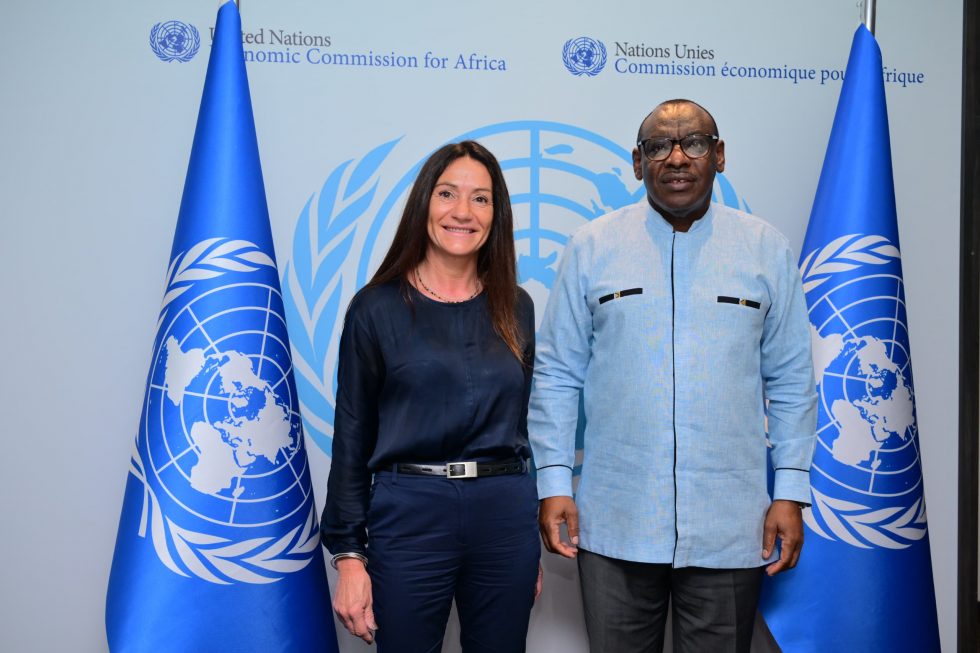 La UNVM presente en Naciones Unidas para África