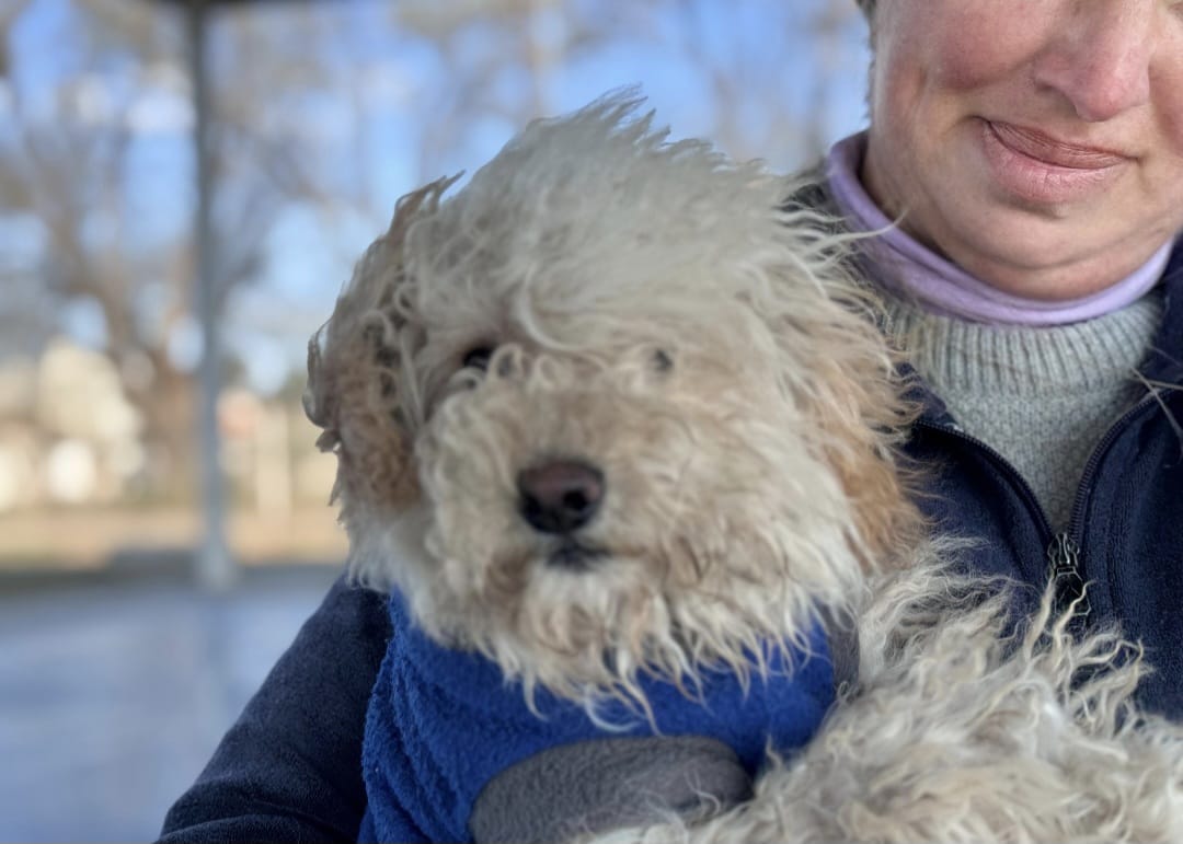 Vacunación antirrábica gratuita en Barrio Residencial América este viernes