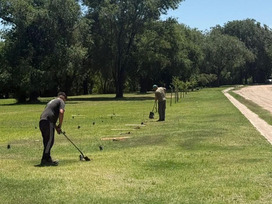 El municipio vecino afirma que plantó 1.350 árboles en los últimos 2 meses