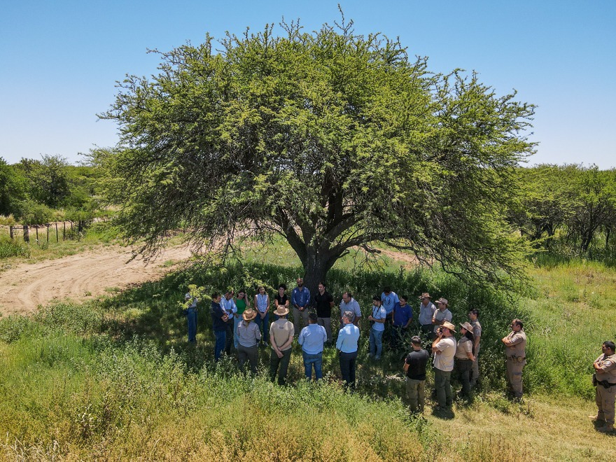 Córdoba, La Pampa y San Luis firmaron un convenio para proteger el Caldén