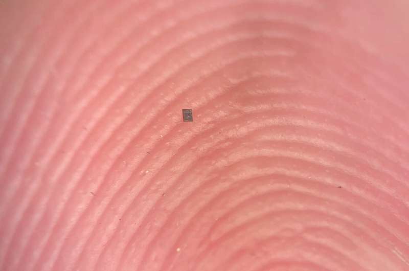 Crean robots microscópicos capaces de decidir por sí mismos