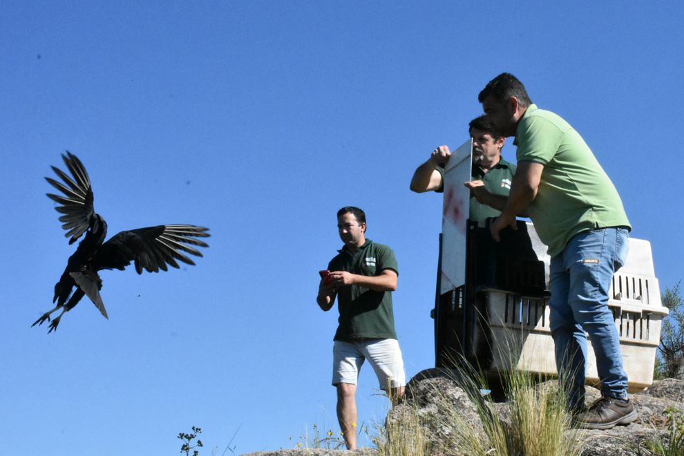 Córdoba culminó el año con una liberación de 48 ejemplares