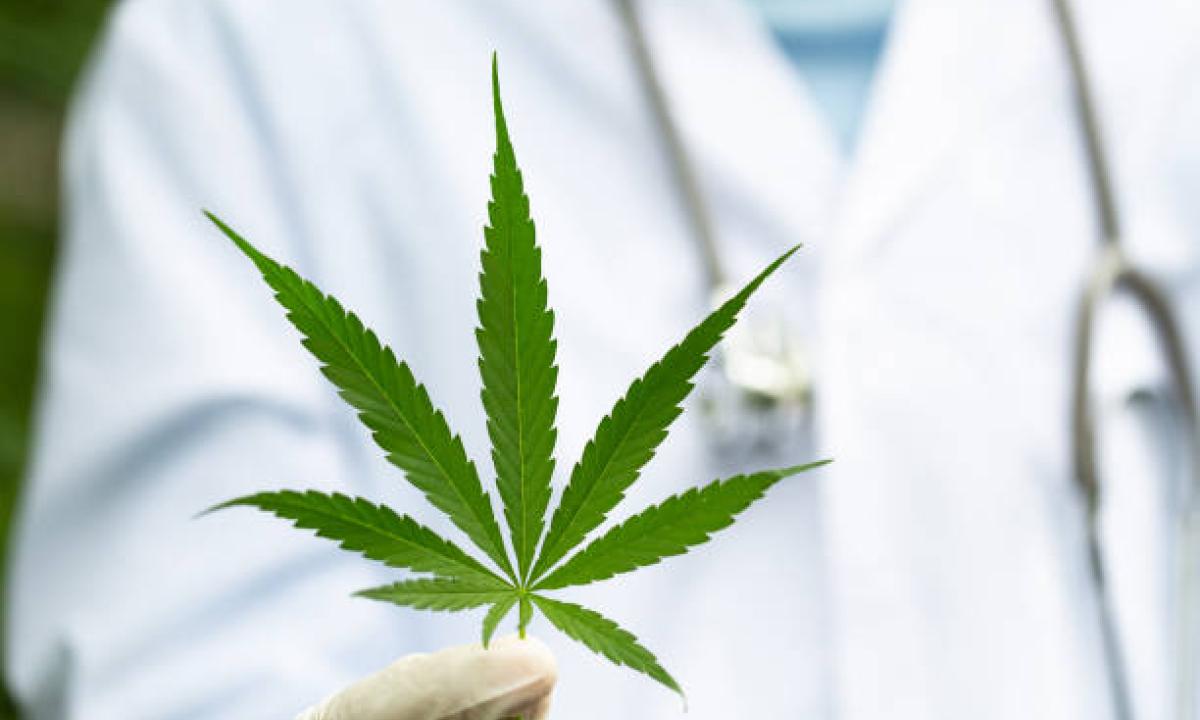 Cannabis medicinal: podrán acceder gratuitamente personas con epilepsia 