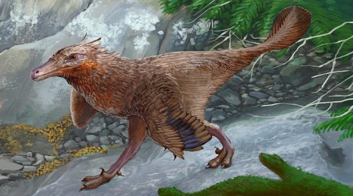 El CONICET descubrió una nueva especie de dinosaurio que vivió hace 83 millones de años
