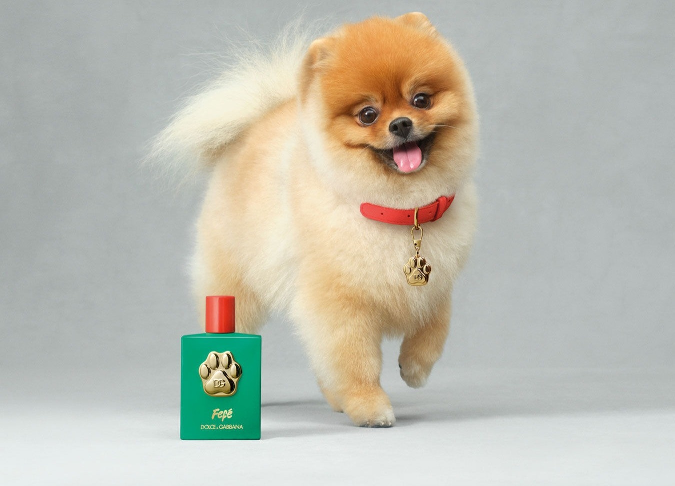 Lanzaron un perfume de lujo para perros 