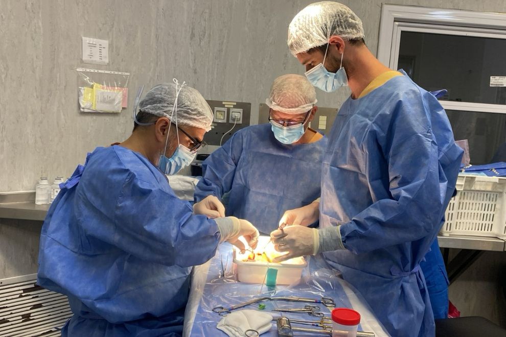 Córdoba: por primera vez realizaron un trasplante renal con máquinas de perfusión hipotérmicas
