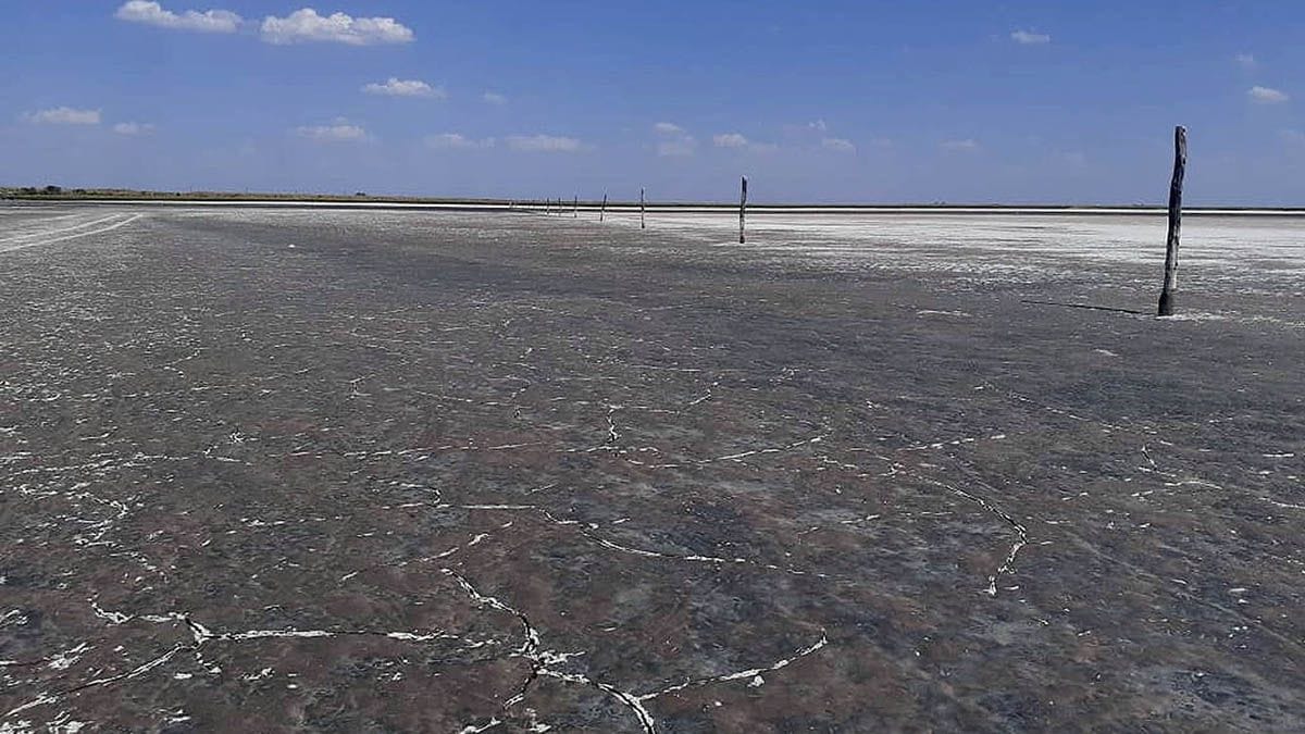 Sequía en Córdoba: desapareció completamente la laguna La Brava