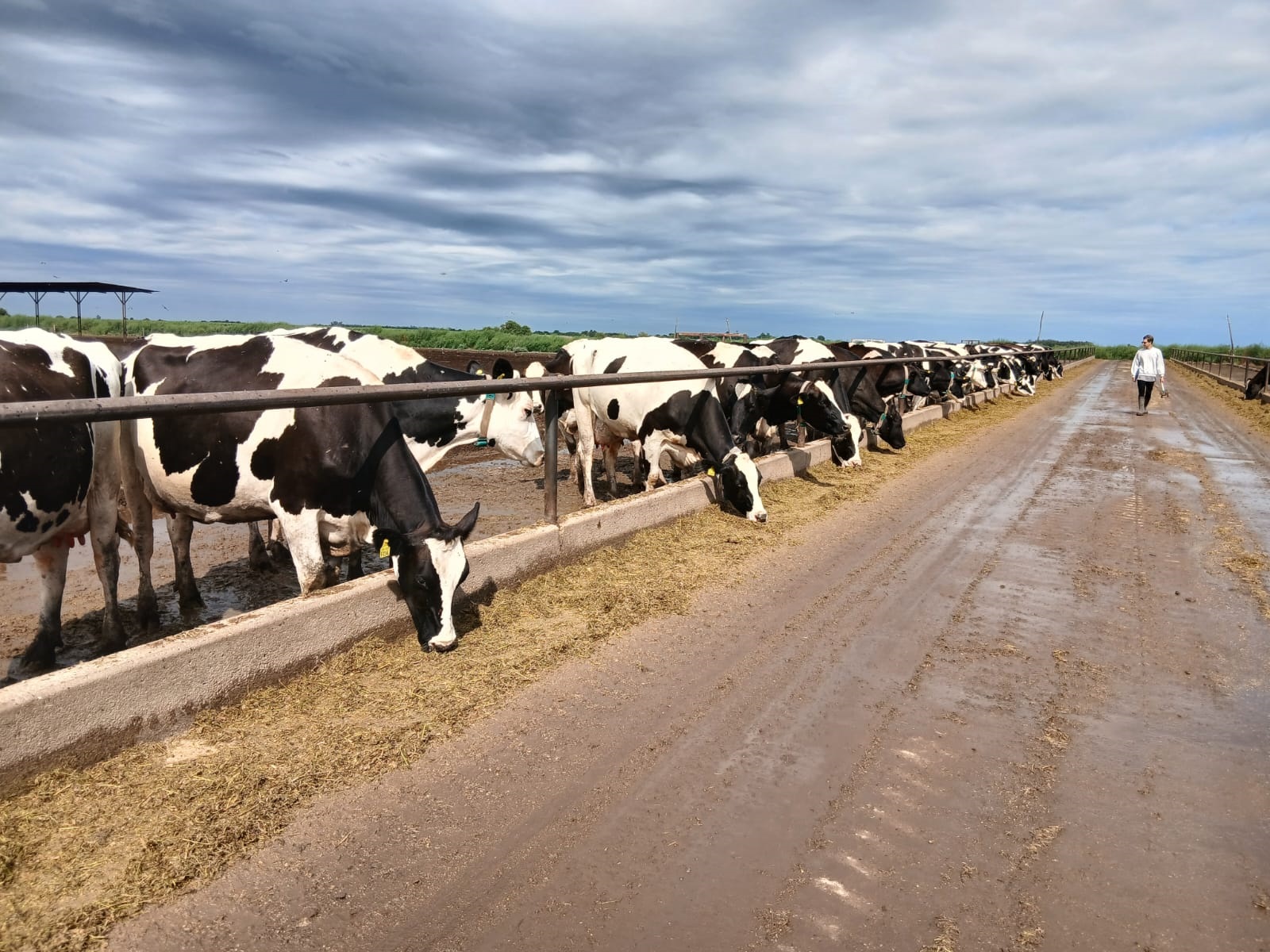 La UNVM se articula con Villa Nueva SA para prevenir caídas en la producción lechera