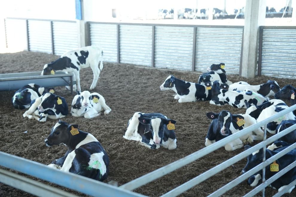 Un tambo de Villa María obtuvo el primer certificado ambiental en Córdoba