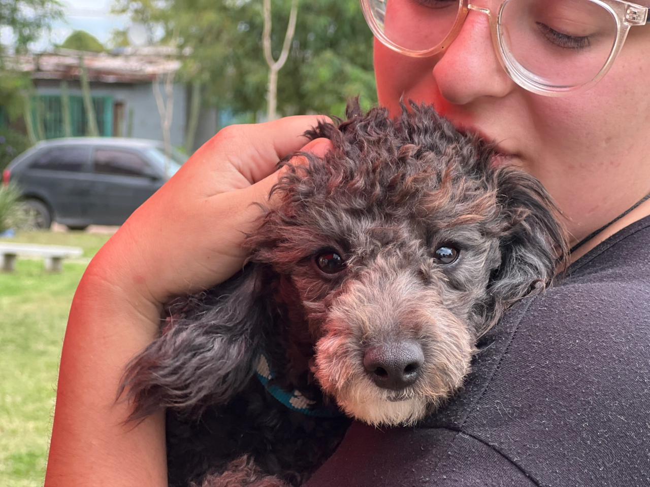 Villa Nueva avanza con la vacunación antirrábica y suma vecinos en Barrio Los Olmos