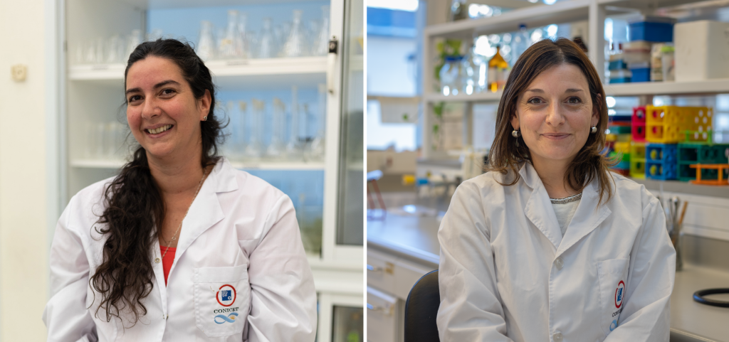 Científicas de la UNVM impulsan un desarrollo para combatir infecciones