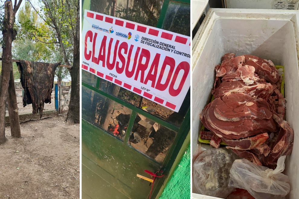 Clausuraron establecimientos por faenamiento clandestino en Hernando