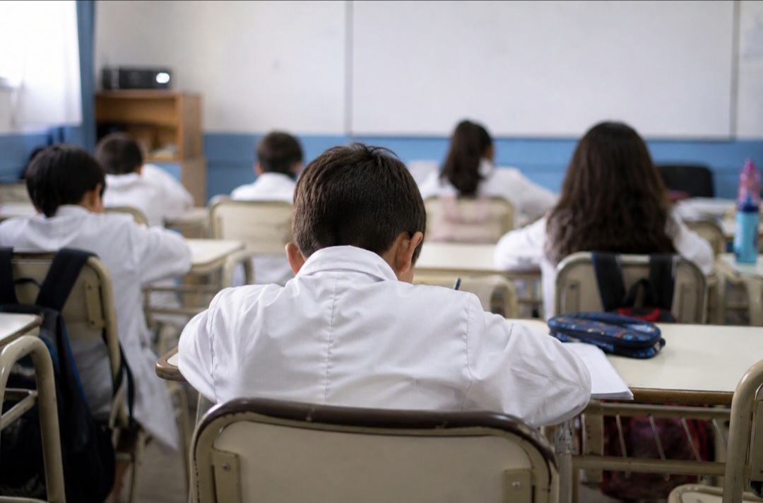 Primaria: llegan a sexto, pero solo la mitad alcanza los aprendizajes esperados
