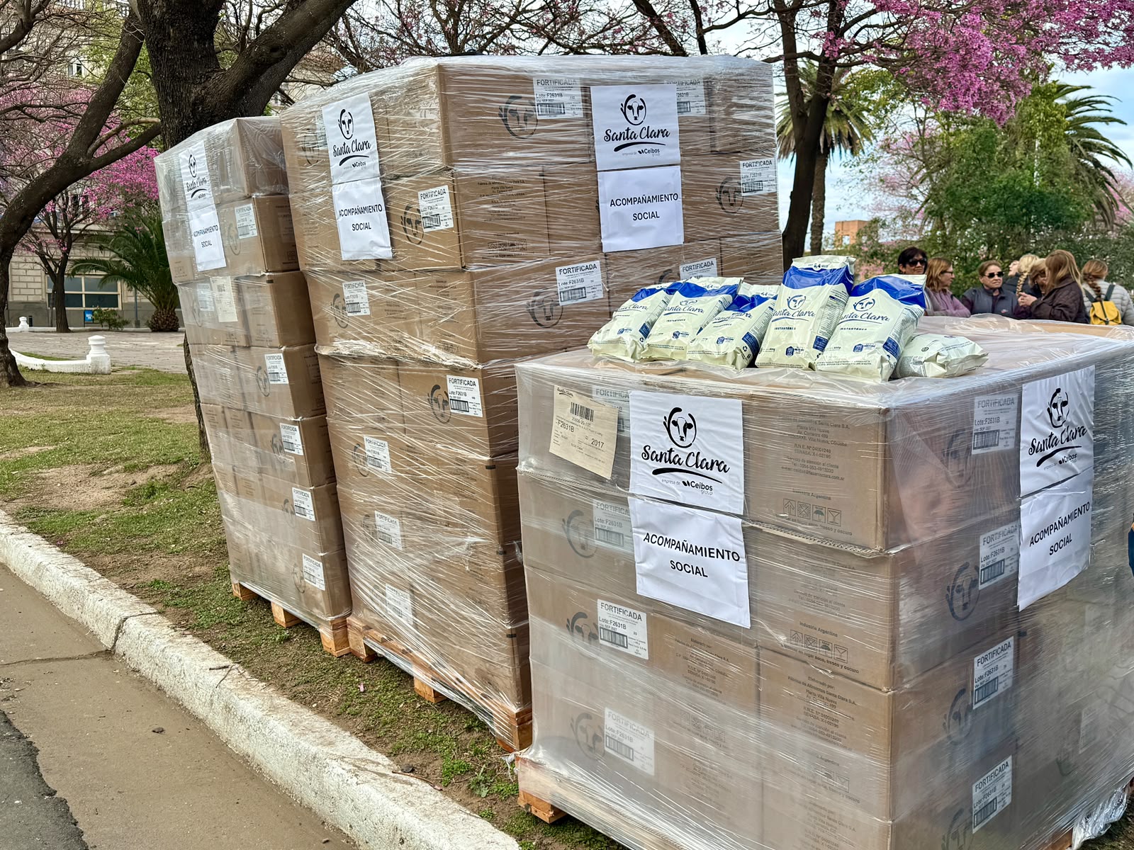 Se entregaron tres toneladas de leche en polvo que serán para comedores y merenderos