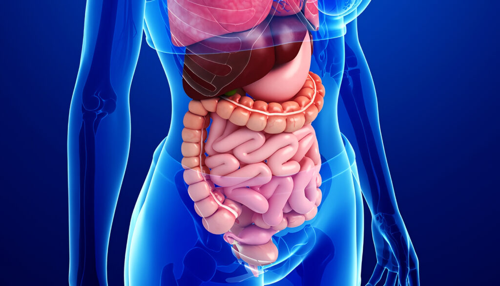 Villa María tendrá una jornada gratuita sobre salud digestiva